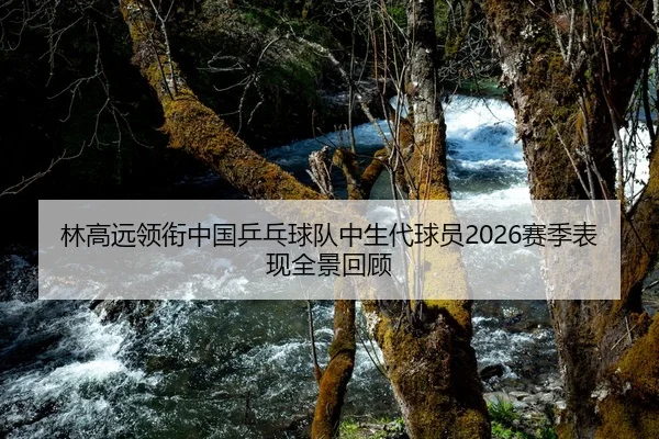 林高远领衔中国乒乓球队中生代球员2026赛季表现全景回顾 | Milan